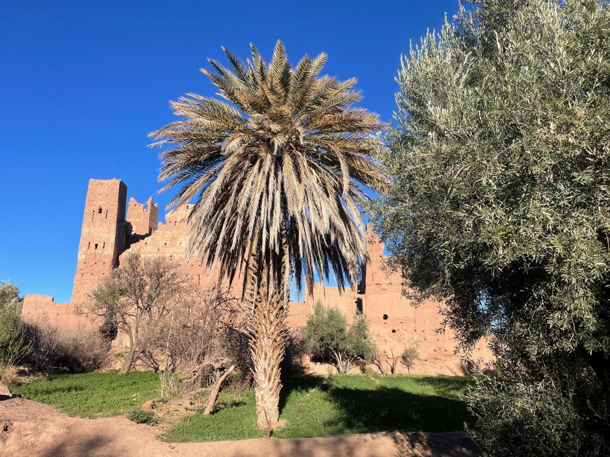Maroc Des Merveilles - Chez L'Habitant Kelaat-M'Gouna Kültér fotó